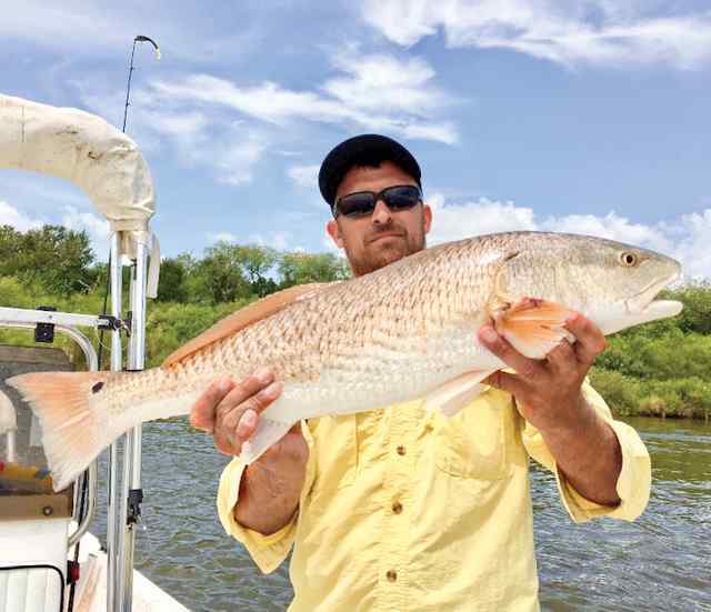 Nathan Koenig 28" 9 lb redfish