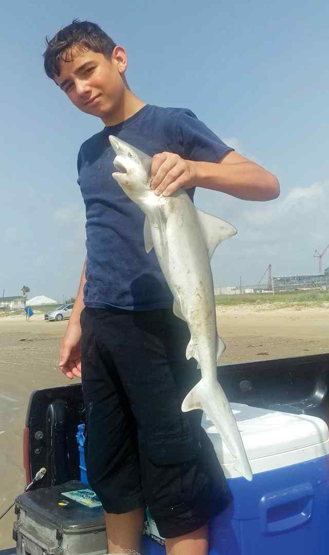 Jackson Mitchell Quintana Beach - sand shark