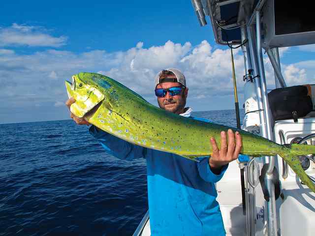 Kelly Underwood 40 miles offshore - dorado, caught on cut bait (squid)