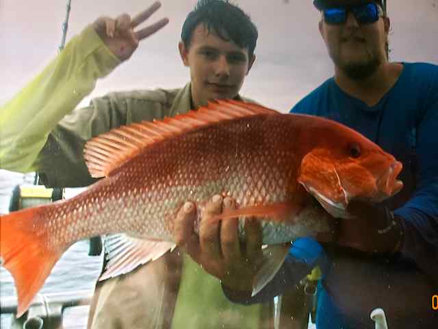 Michael Ziverk Port Aransas (federal waters) - 18 lb snapper