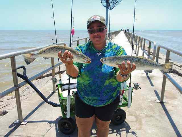 Tamay Anderson Corpus Christi (North Packery Jetties) - speckled trout, caught on live shrimp under a popping cork