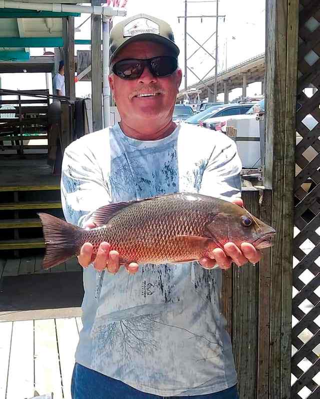 Steve Sullivan Corpus Christi (Padre Island Packery Jetties) - mangrove snapper, caught on live shrimp under a popping cork