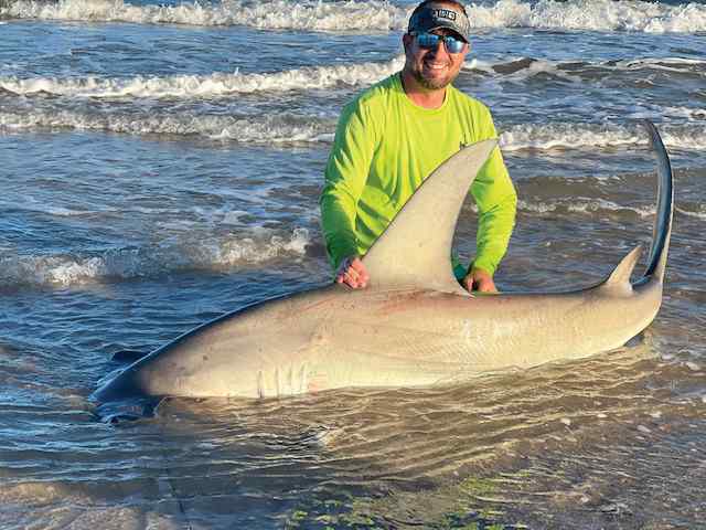Derrick Lovin Matagorda Beach - 8'4" personal best scalloped hammerhead! CPR