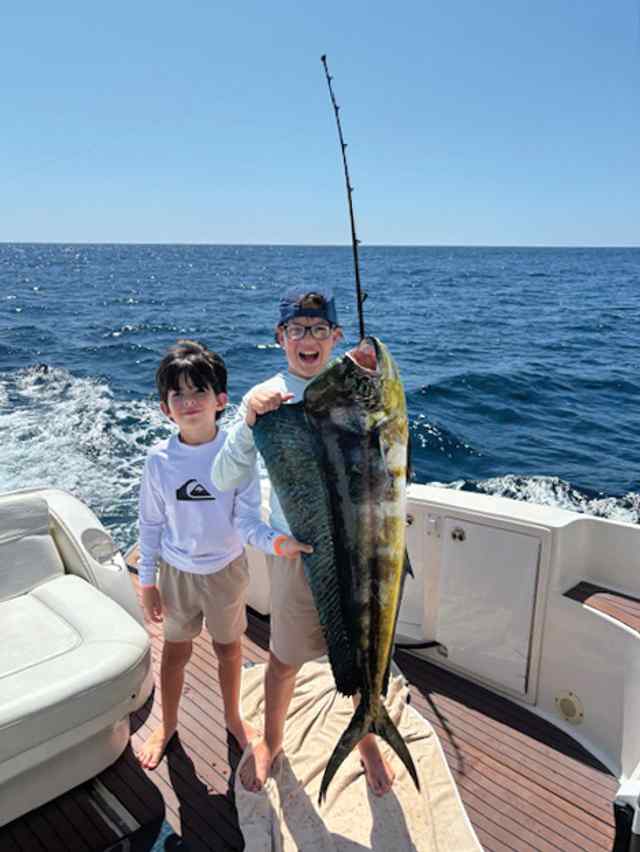 Joaquin & Raphael Alvarez Los Cabos - dorado