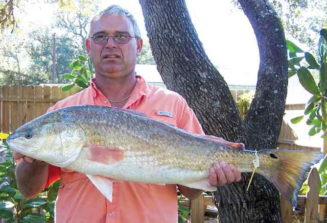 Gary Damborsky San Antonio Bay - 33 red