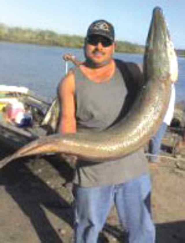 Erik Fonseca Sharpsburg - 5 gar