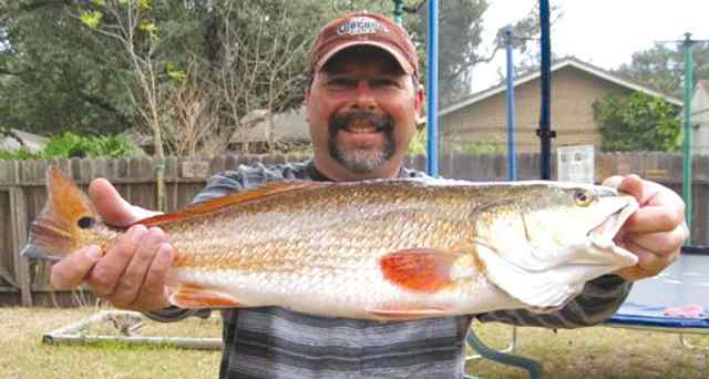 Daryl Grossman Fish Pass - 26 red