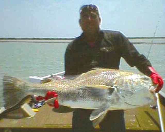 Rene Huron Port OConnor - 45 black drum