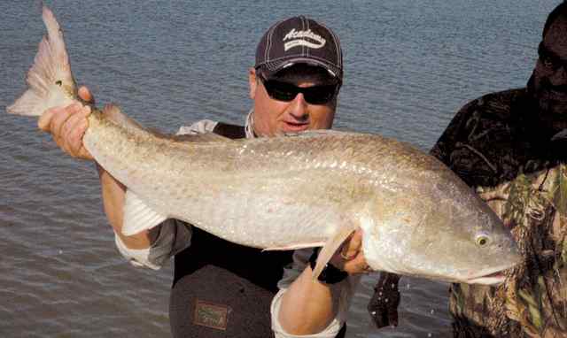 Kurt Kalivoda Mitchells Cut - 41 red CPR