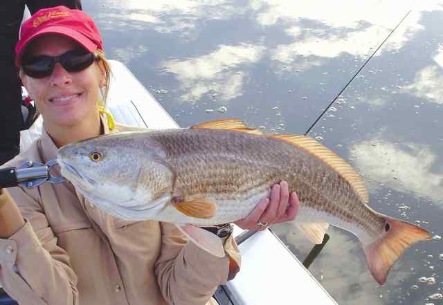 Donna Romeyn Galveston Bay Marsh - 29.5 red