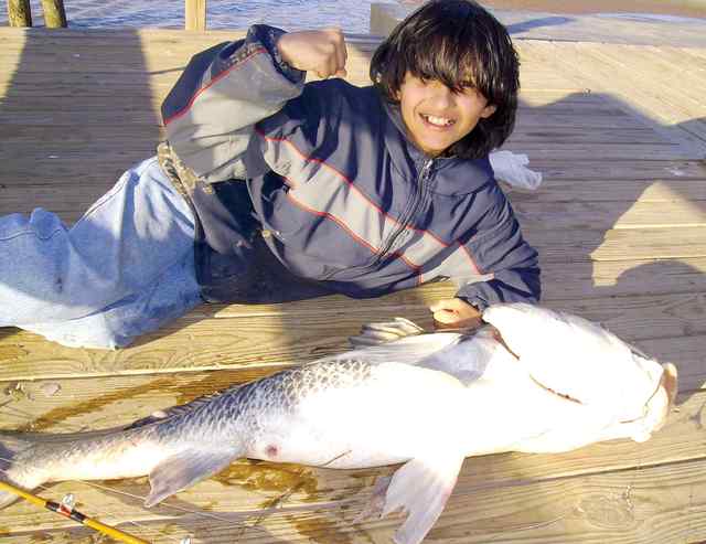 Justin Cortez Matagorda - 52” black drum