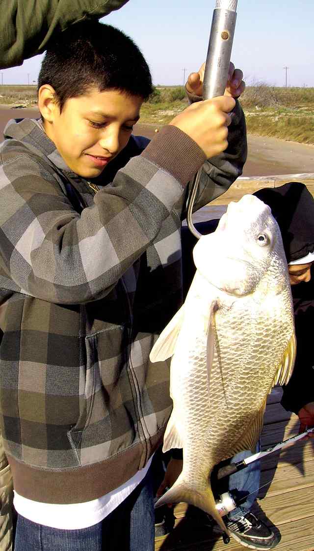 Sean Cortez Matagorda - 52” black drum