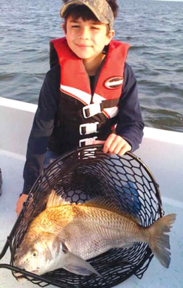 Danile Lopez 29” black drum