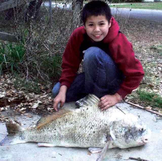 Tyler Van Lee Fulton Harbor - 42” black drum