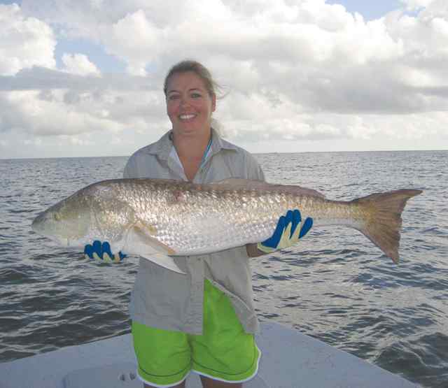 Vicky Rust Port O'Connor42&quot; bull red