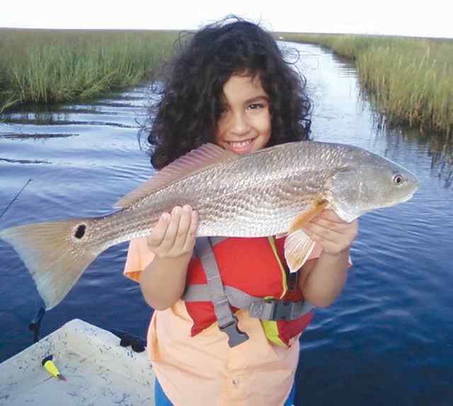 Shayne Wollam Tres Palacious Bay