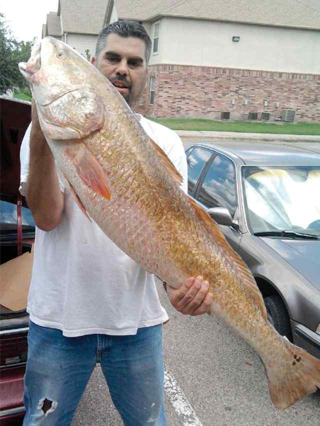 John Lee Wysack Baffin Bay50.5&quot; bull red