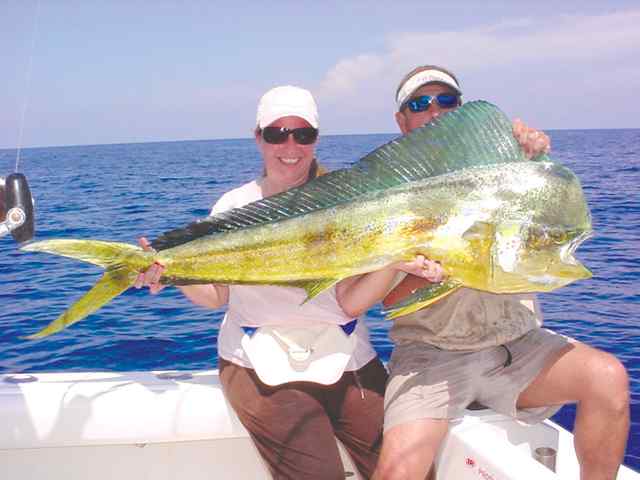 Lucrecia Foster Sargentpersonal best dolphin!