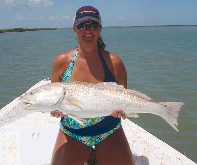 Amy Osina Mitchell's Cut42&quot; redfish