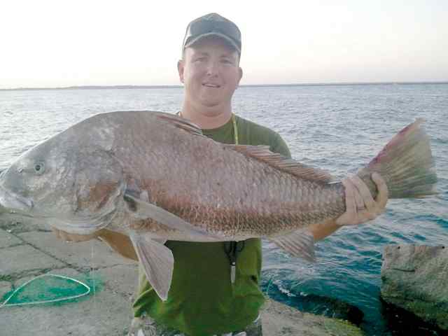 Ryan Sexton black drum CPR