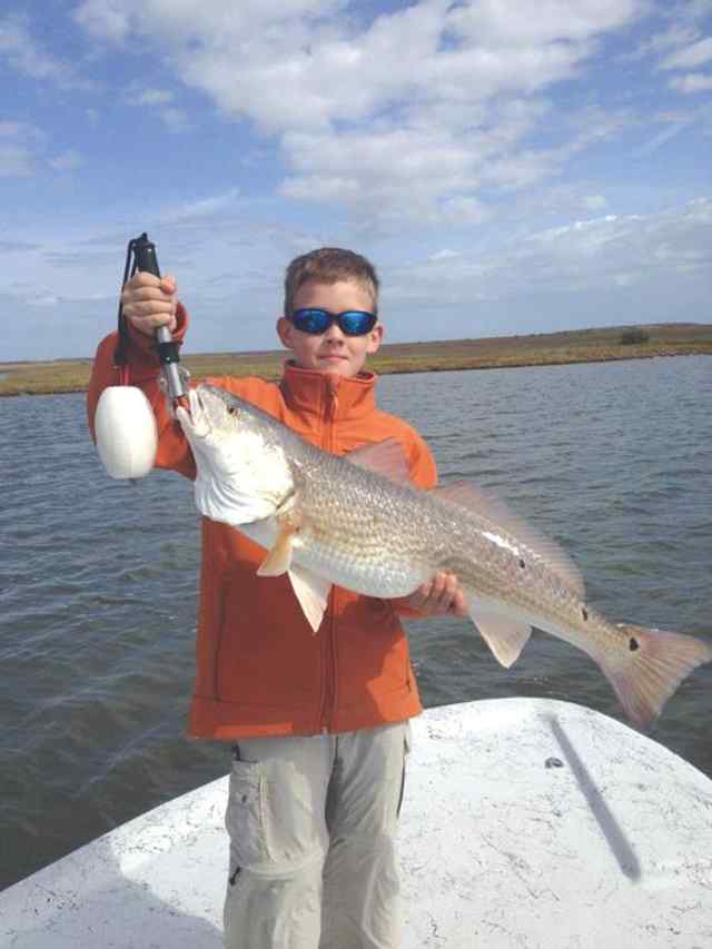 Weston Maze Aransas Bay34.5&quot; 12lb red