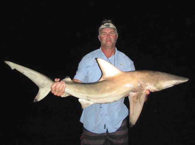 Chris Hall Port O'Connorshark