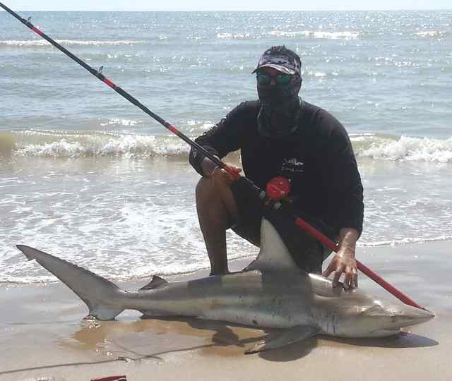 Raul Hernandez SPI surf66&quot; blacktip CPR