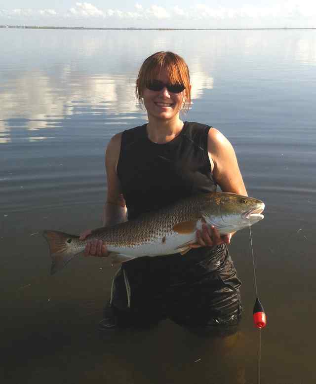 Lauren Mohan Upper Laguna Madre29&quot; redfish CPR