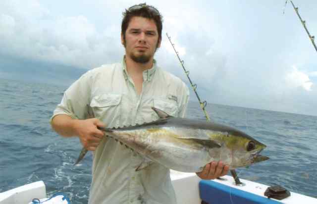 Brandon Oberlender Off shoreblack fin tuna