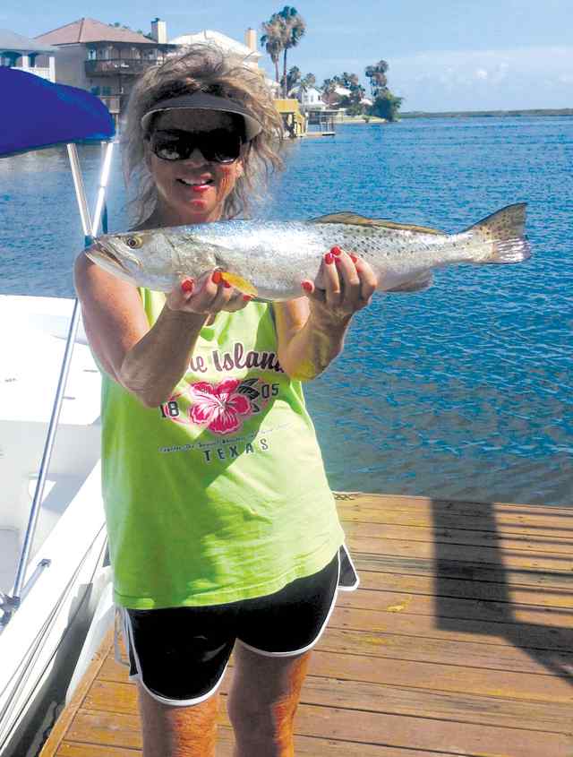 Gina York ICW24&quot; trout