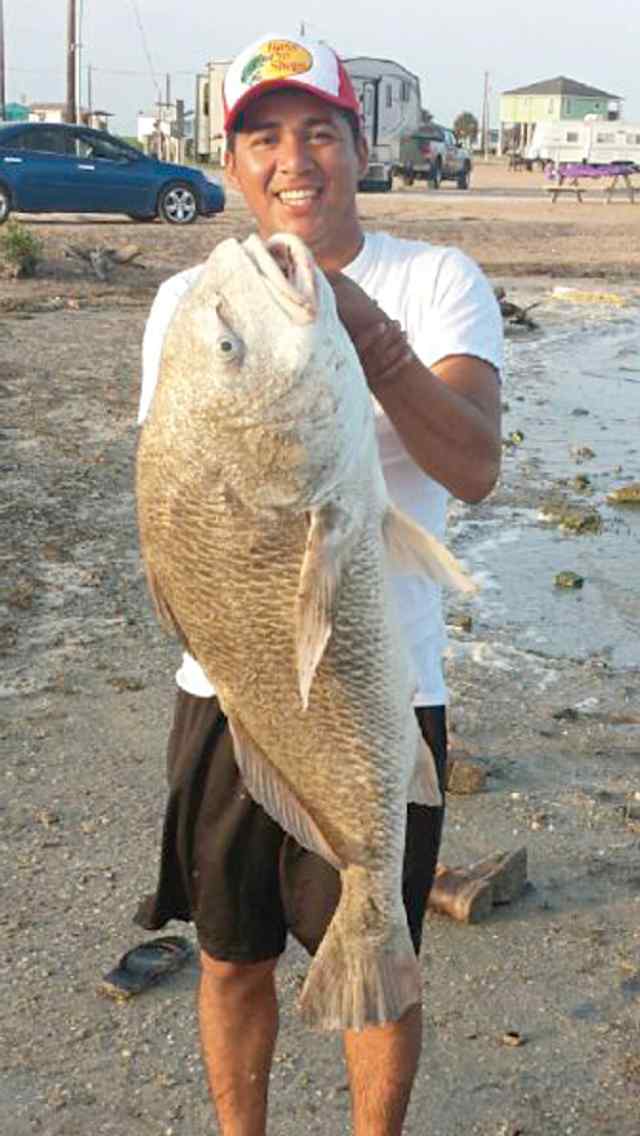 Ferny Mendoza Indianola Bayblack drum