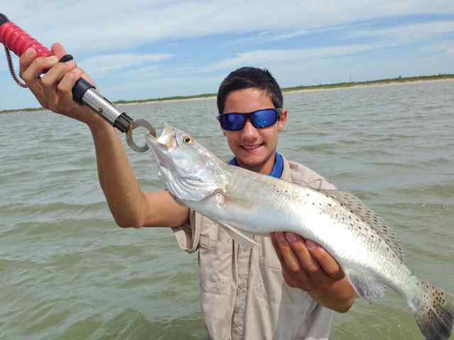 Bub Wilson Copano Baytrout CPR
