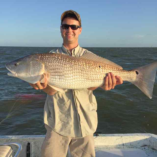 Cole Elsenbrock 40&quot; bull red