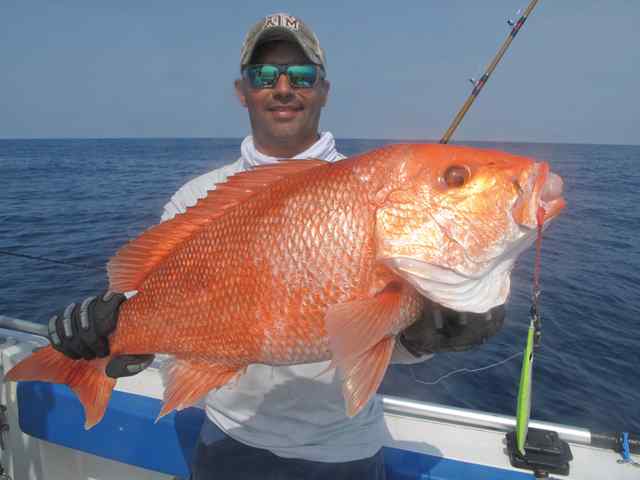 Glean Fish &amp; Fun 11snapper CPR, caught on falcon rig