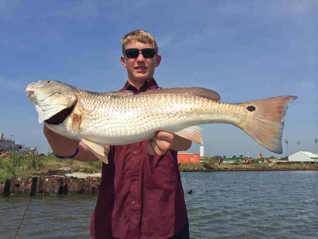 Lee Miller Big Lakeredfish