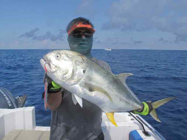 Henry Rodriquez Fish &amp; Fun IIamberjack