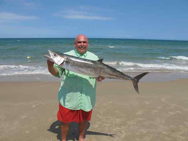 Richard Roussett PINSking mackerel