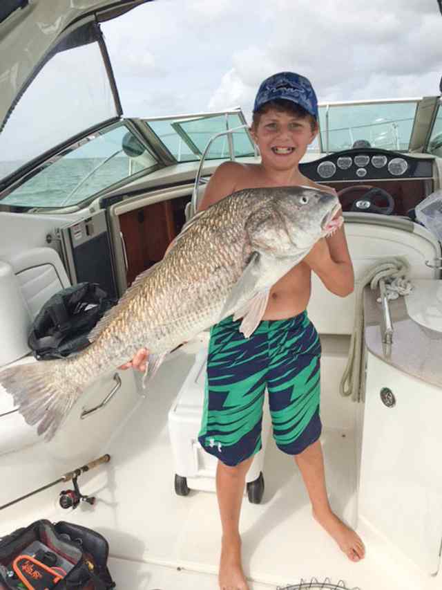 Ardacan Guzel Half Moon Reef - Galveston35&quot; drum CPR