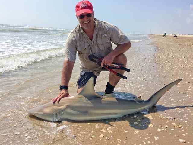 Mark Schlatter South Padre - 6' shark CPR