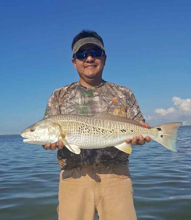 JR Villarreal Trinity Bay - 26" redfish