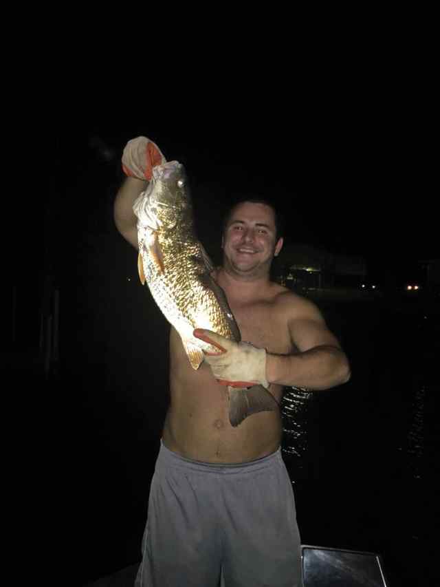 Andrew Dossman Sargent - 26.5" redfish