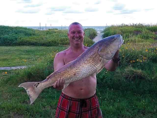 Dave Jones Galveston surf - 43" first bull red!