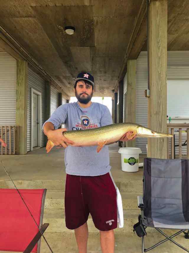 Michael Welps West Bay - alligator gar