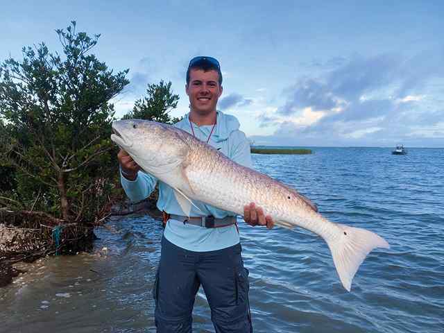 Andrew Maddox Seadrift Bay - 51" redfish CPR, caught on live croaker while wade fishing