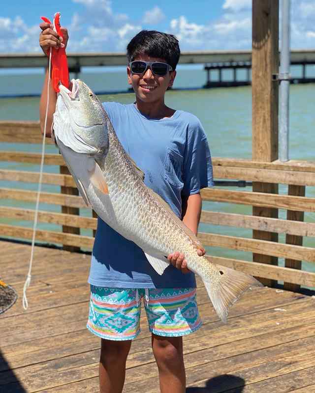 Tristan Gutierrez Port Lavaca - 38.5" bull red
