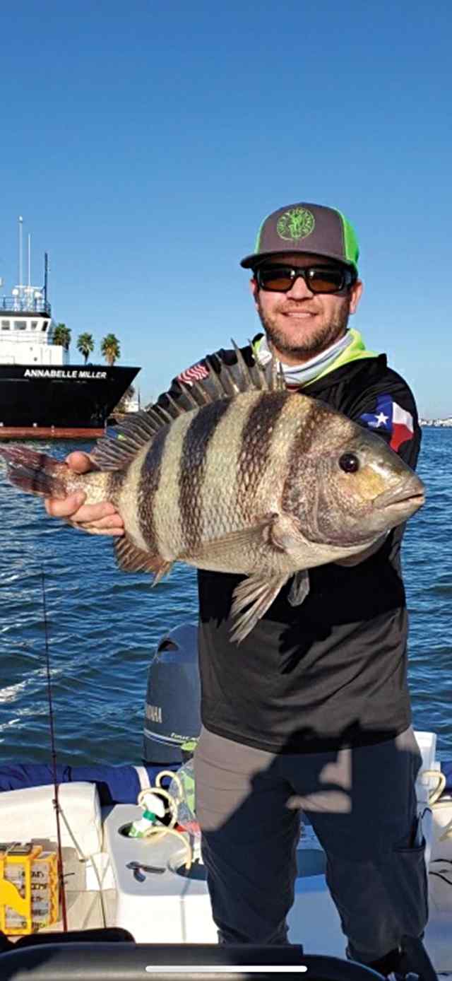 Joseph Hagar Galveston - sheepshead