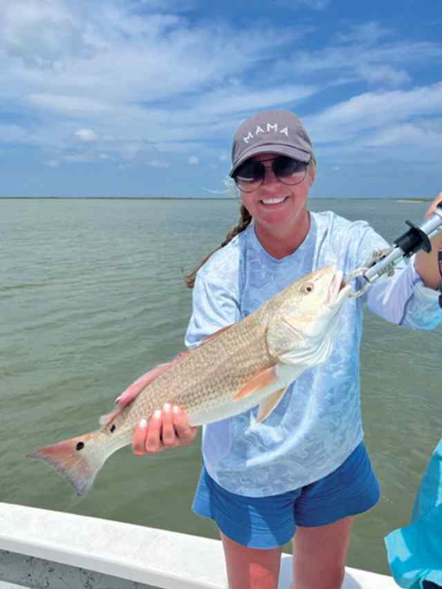 Sarah Cox Shoalwater Bay - 24" redfish