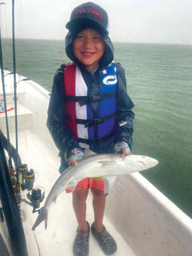 Cannon Dunk Corpus Christi Bay - shark