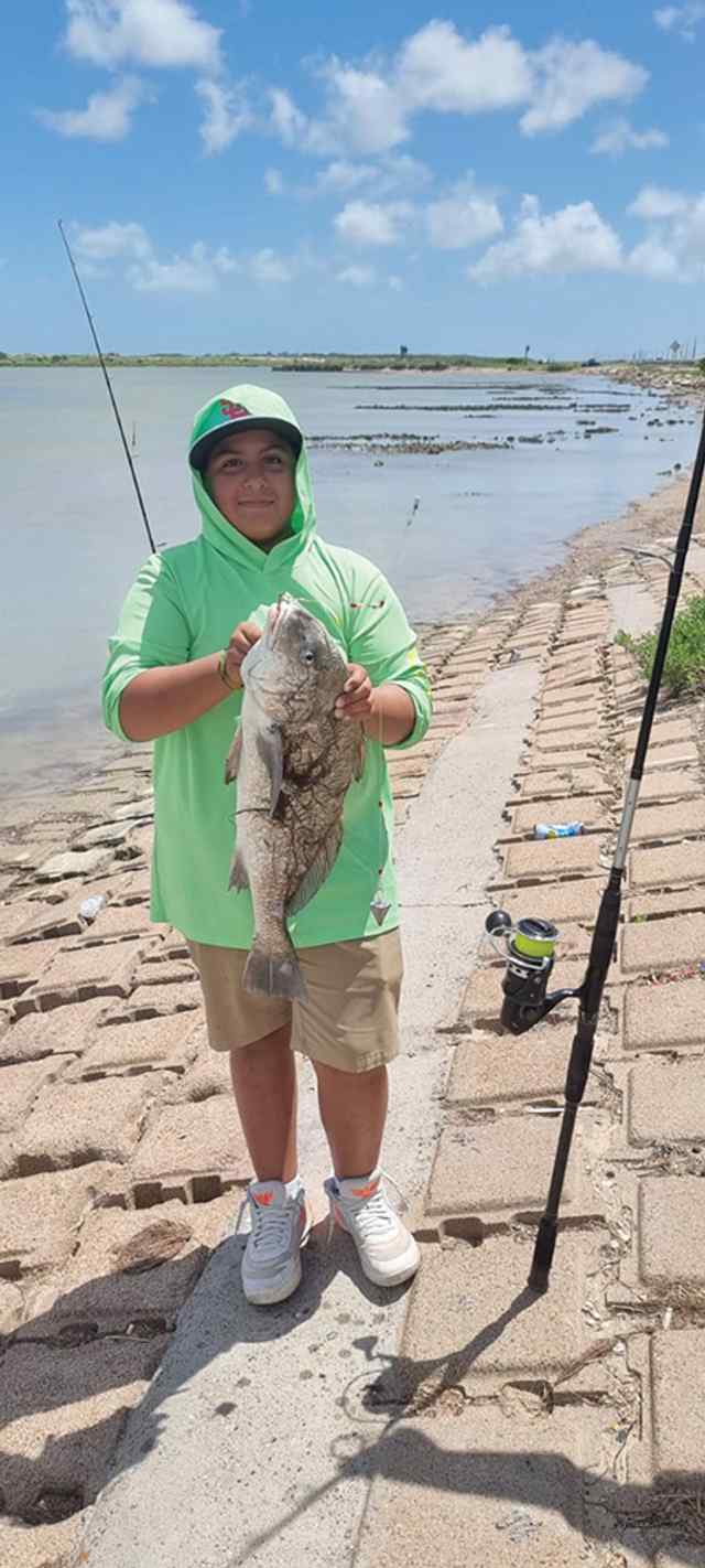 Fernando Lazo Gayman's Bridge - black drum