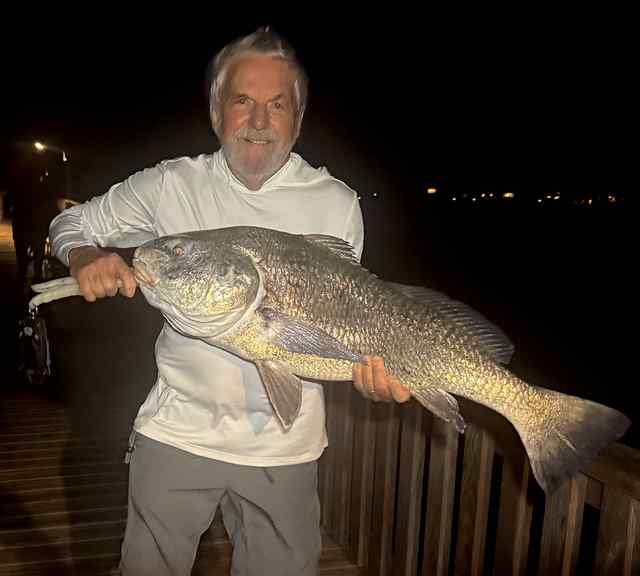 Jorge Coxwell GISP - 41" 28# PB black drum!